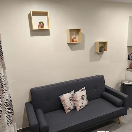 Apartman Rdc Avec Parking Au Centre-ville *