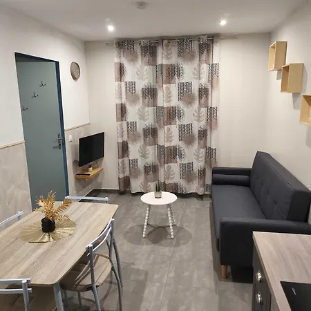 アパート Rdc Avec Parking Au Centre-ville *