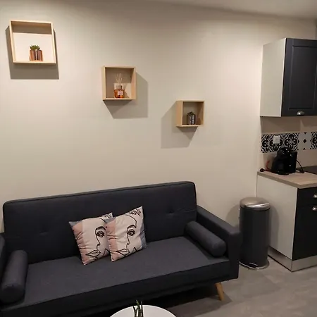 Rdc Avec Parking Au Centre-ville * Charleville-Mézières