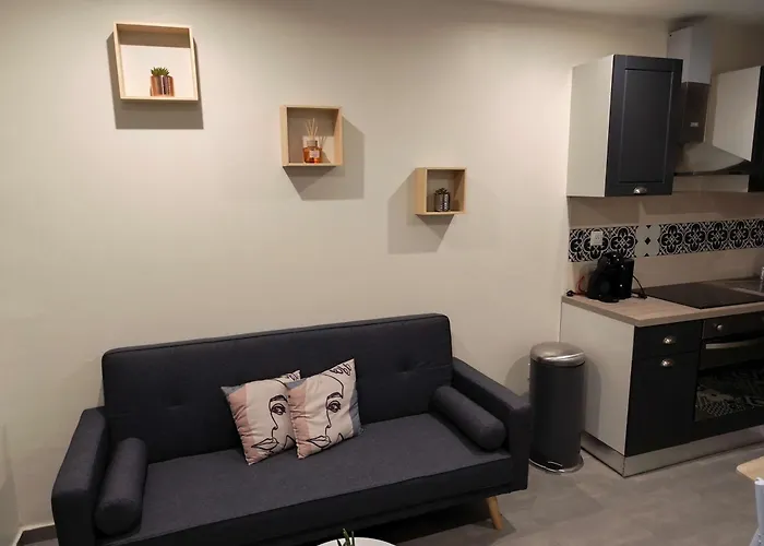 Rdc Avec Parking Au Centre-ville * Charleville-Mézières